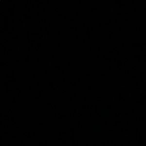 Meet your Posher, Celia